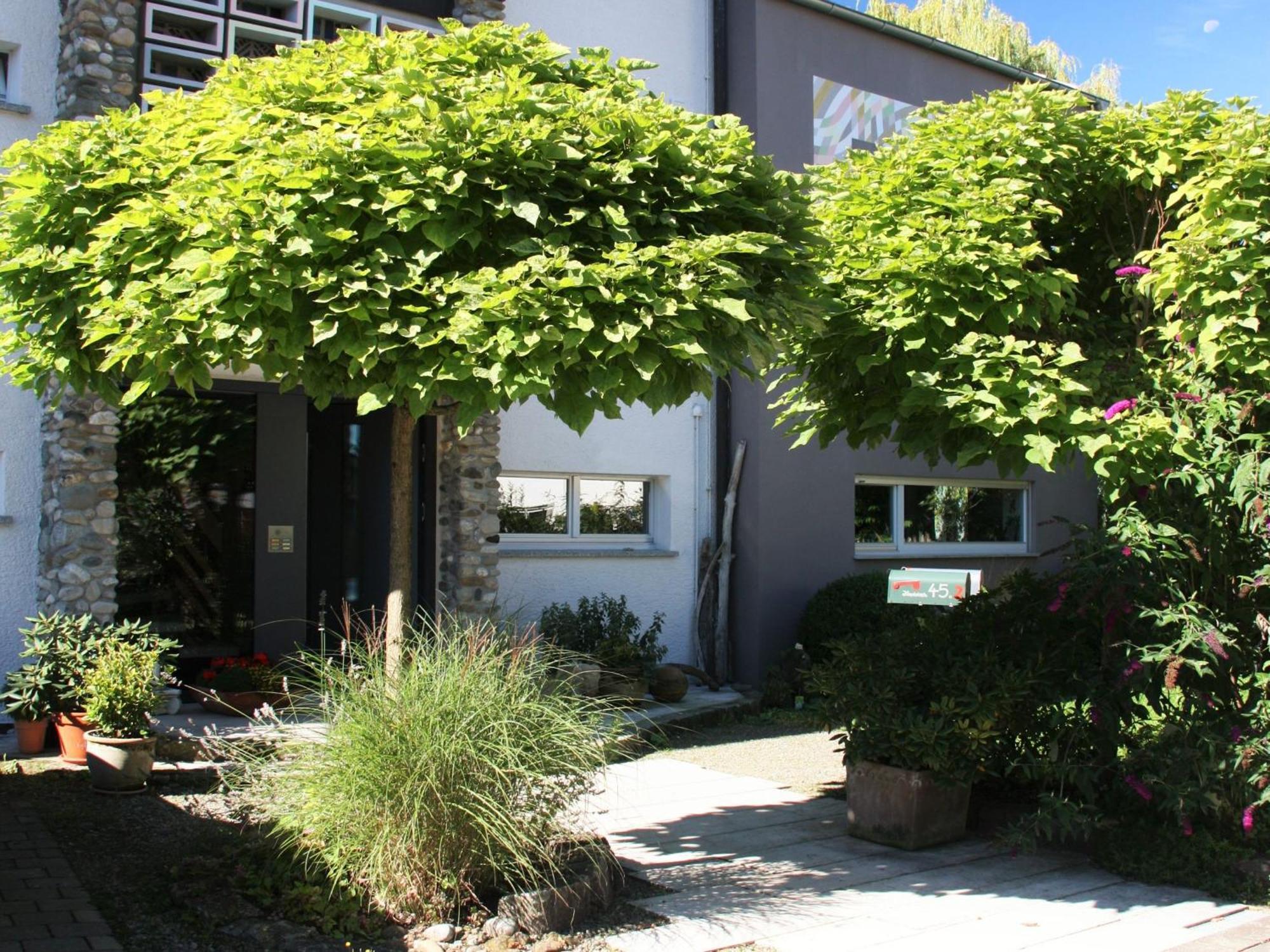 Apartment Pano Friedrichshafen